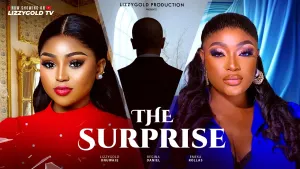 THE SURPRISE