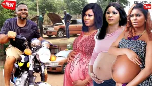 MY PREGNANT WIVES