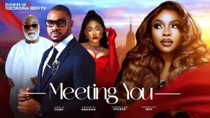 MEETING YOU