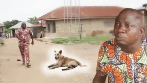 Omo Ajikore