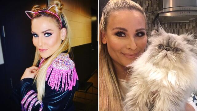 Is Natalya a cat lady? An investigation