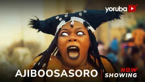 Ajiboosasoro