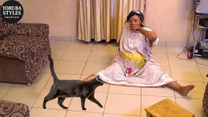 Oyun Abami