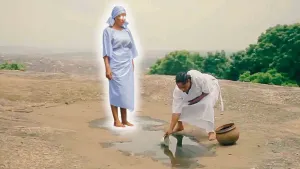 Omi Apata: Alapata