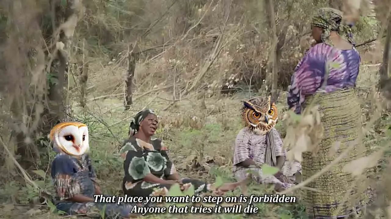 Oju Ile: The House Watchers