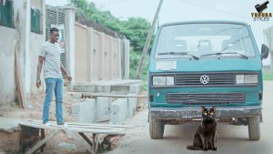 Ologini Abami: The Mysterious Cat
