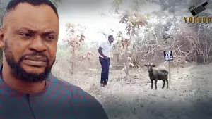 Eran Aje: Sacrificial Meat