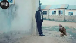 Owiwi Omo Woli