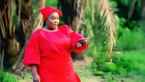 Iyawo Emere: Arewa Jigijigi