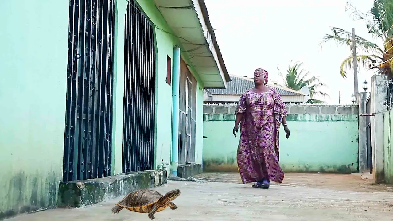 Opopona Aye: The Road of Life
