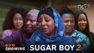 Sugar Boy 2