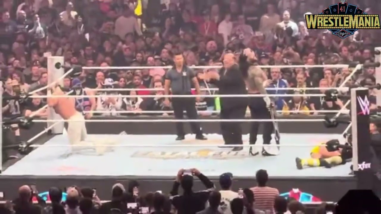 Roman Reigns vs CM punk vs Seth Rollins - WWE WrestleMania 41 match ending