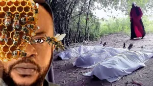 Omo Agbon: Ina Abiku - sflix