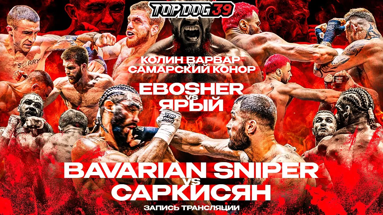 Bavarian Sniper VS Саркисян, EBOSHER VS Ярый, Колин Варвар VS Самарский Конор | TOP DOG 39, Уфа