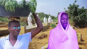 Elefo Oran