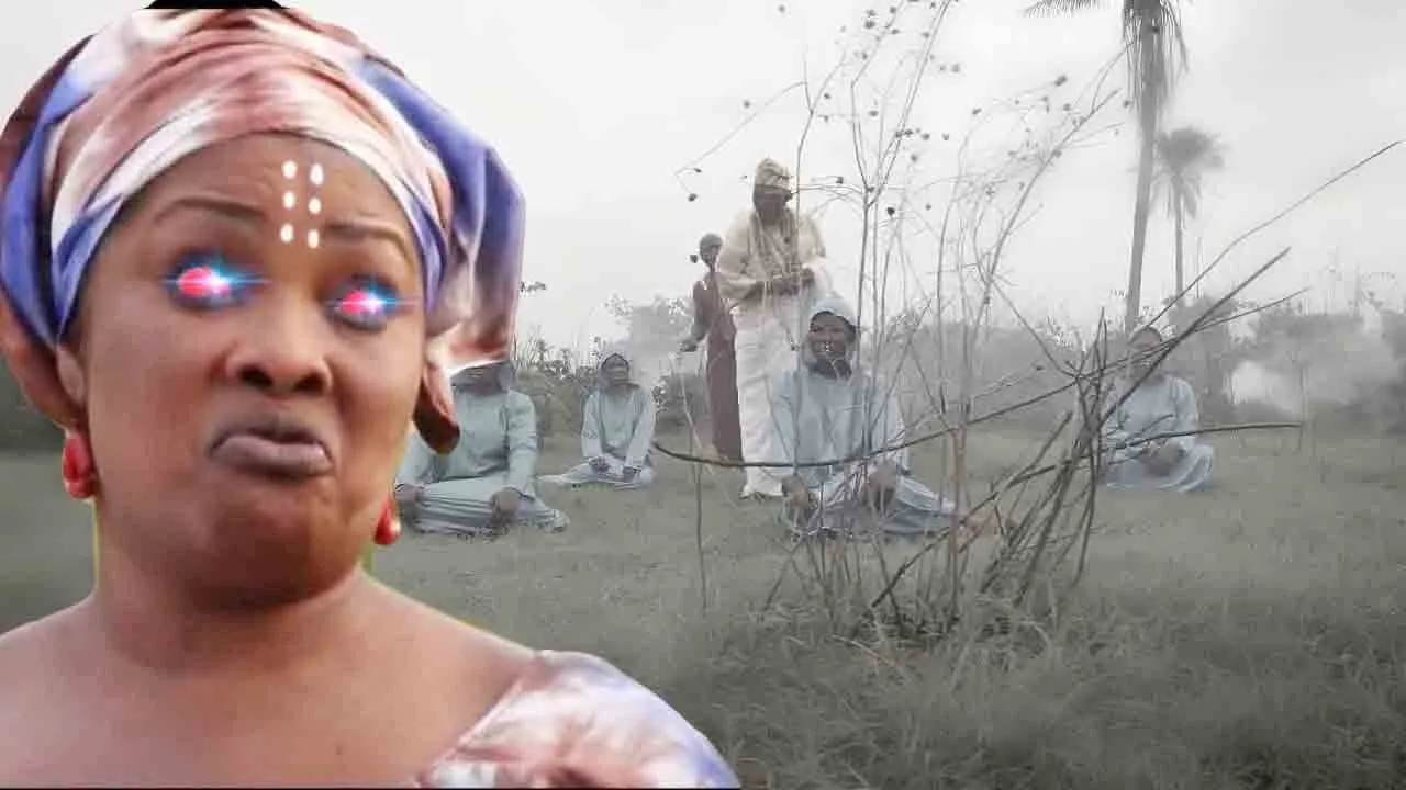 Omo Olu Awo