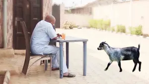 Ewure Ajibade