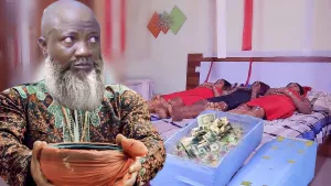 Posi Baba Olowo