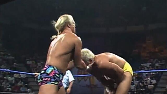 "Stunning" Steve Austin vs. Dustin Rhodes - WCW Television Championship Match: Halloween Havoc 1991