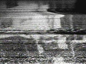 Study II: Dieter Roth [Portuguese]