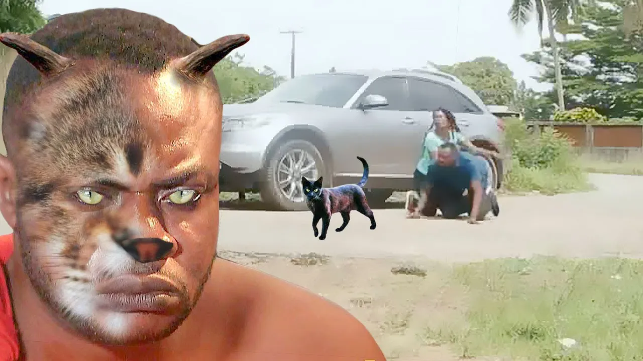 Omo Olongbo