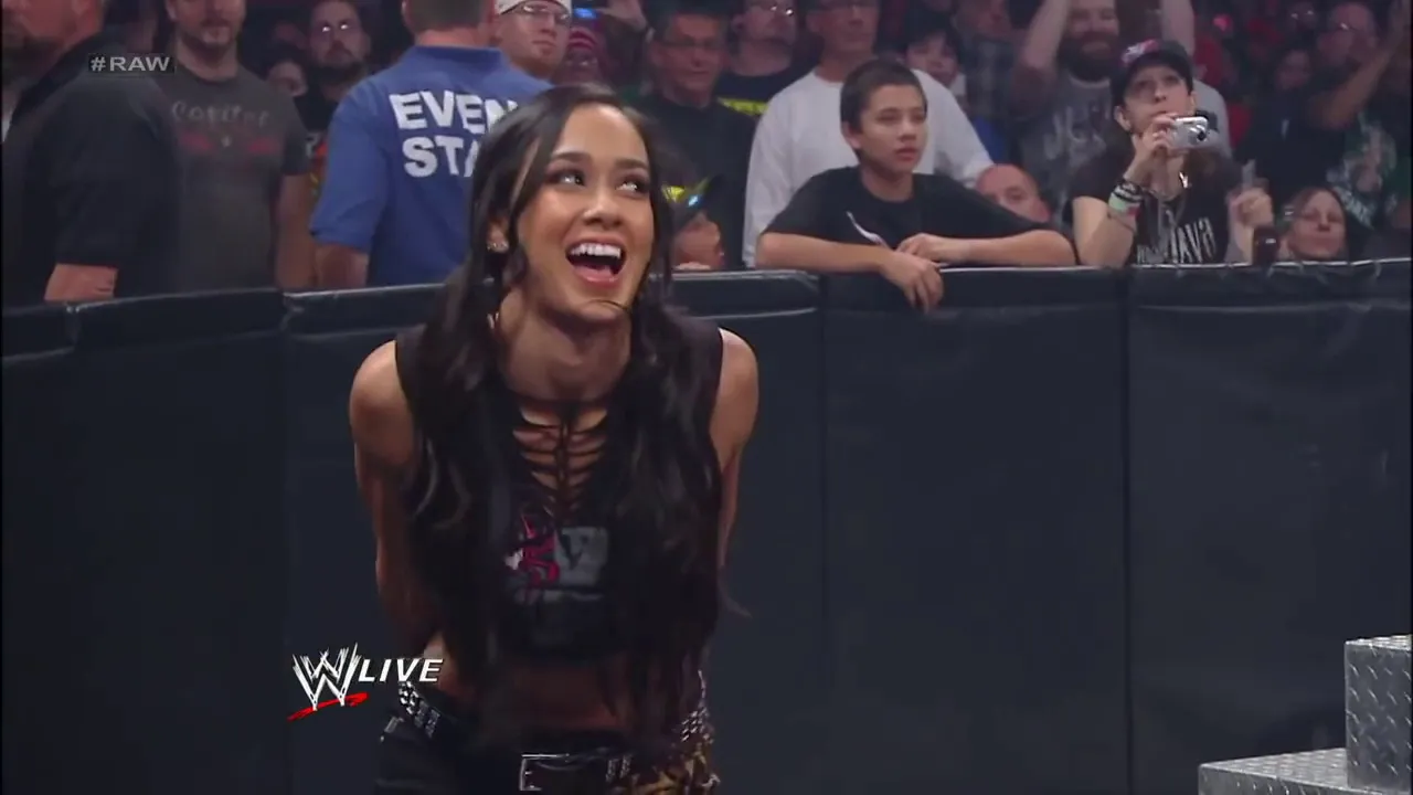 Every WWE Women's Match of 2013