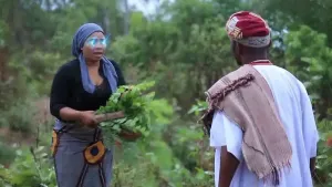 Ebora Elewe Omo