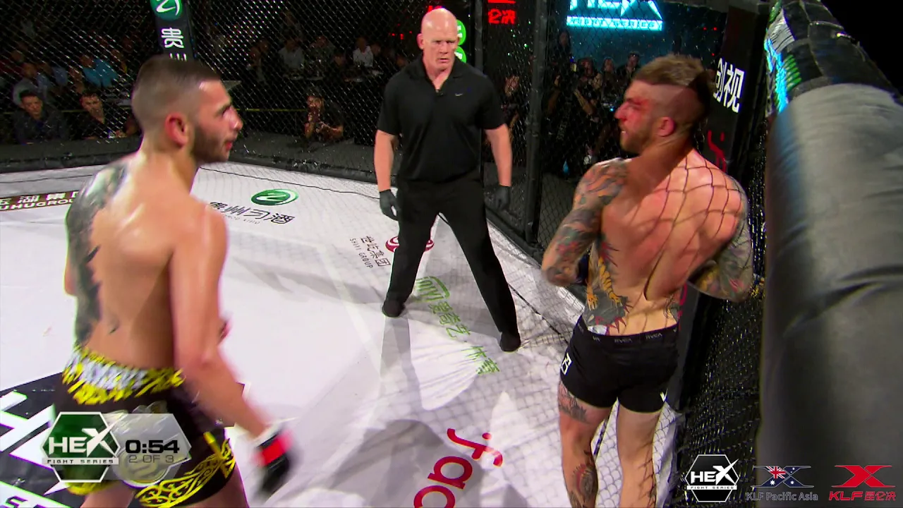 Hex #17 - Alex Gorgees Unanimous Decision background