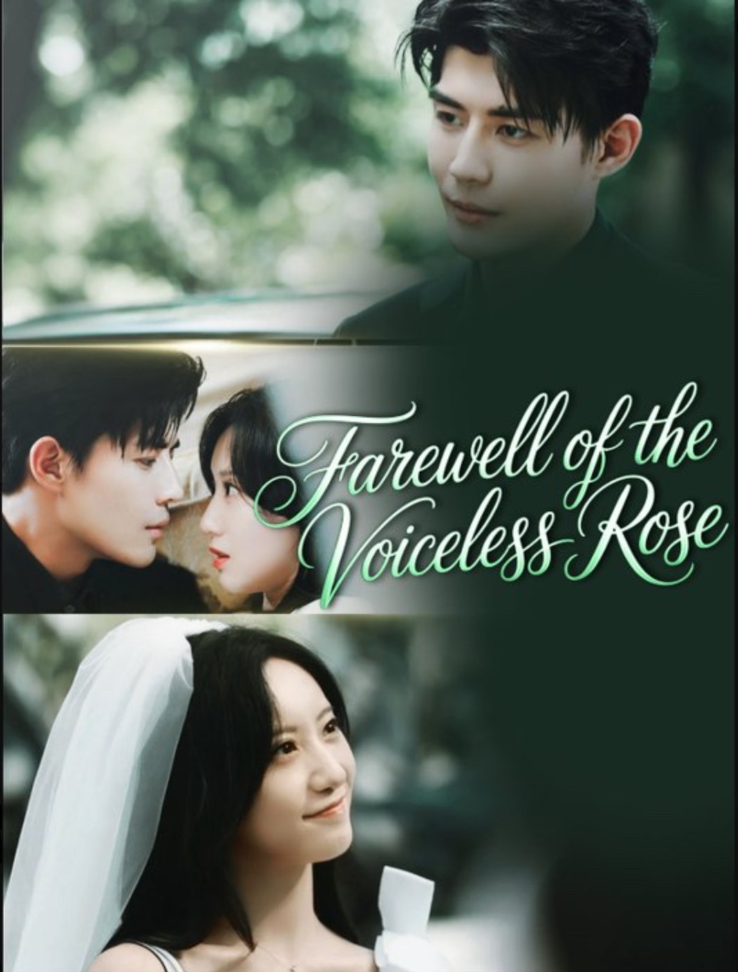 Farewell of the Voiceless Rose [English] poster