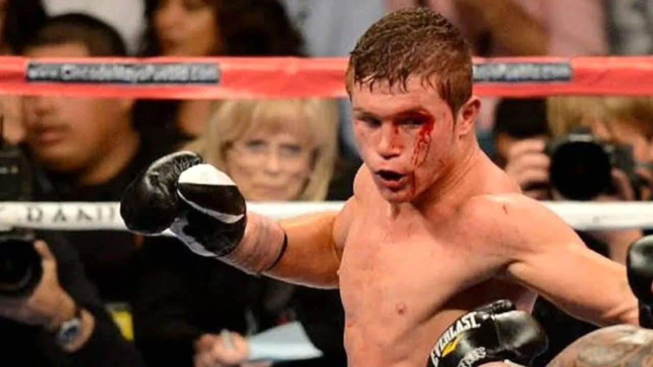 Canelo Alzarez (Mexico) vs Jose Miguel Cotto (Puerto Rico) Full Highlights - TKO - Boxing