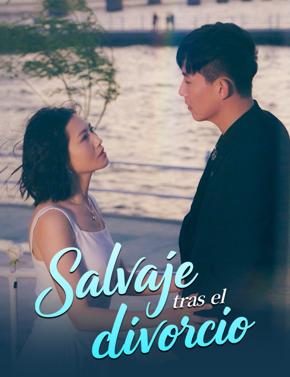 Salvaje tras el divorcio poster