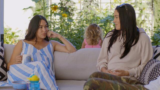 Family drama arises over the possibility of Nikki’s baby shower: Total Bellas, Nov. 19, 2020 background
