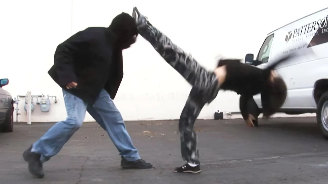 Martial Arts Girl DESTROYS Street Thugs | Movie Fight Scene (Real Contact Hits) background