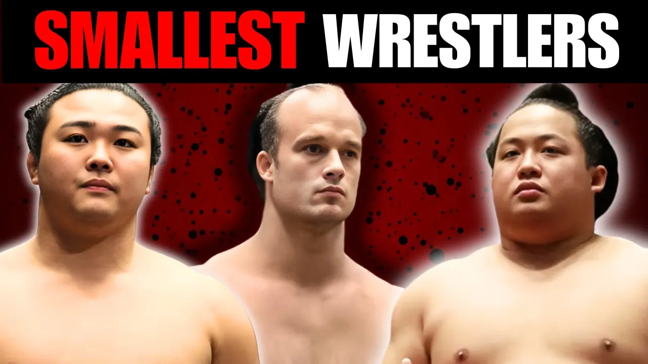 Top 5 Lightweights Sumo Wrestlers That Fought Like Titans background