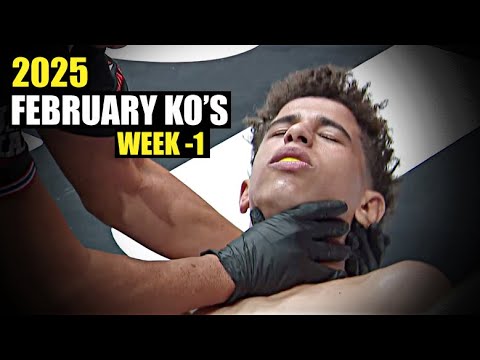 MMA & Boxing Knockouts I February 2025 Week 1 background