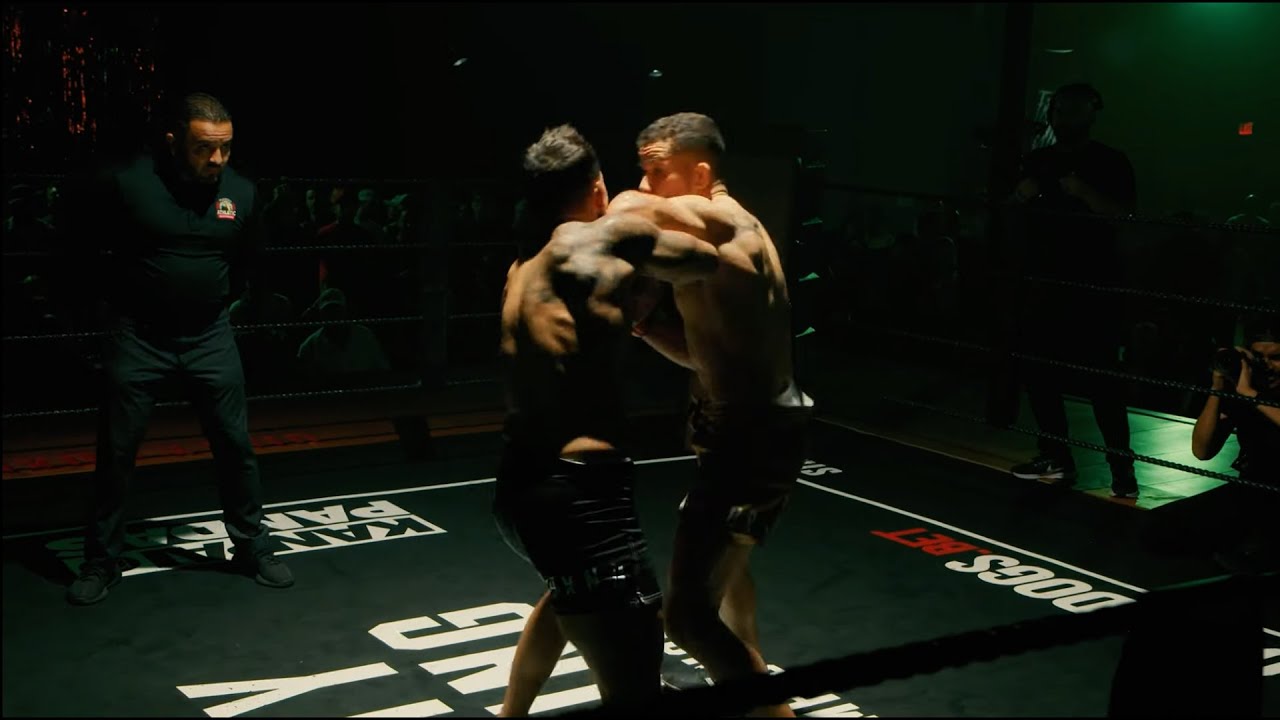 Boxing With Clinches And Elbows (Dirty Boxing Championship) backdrop