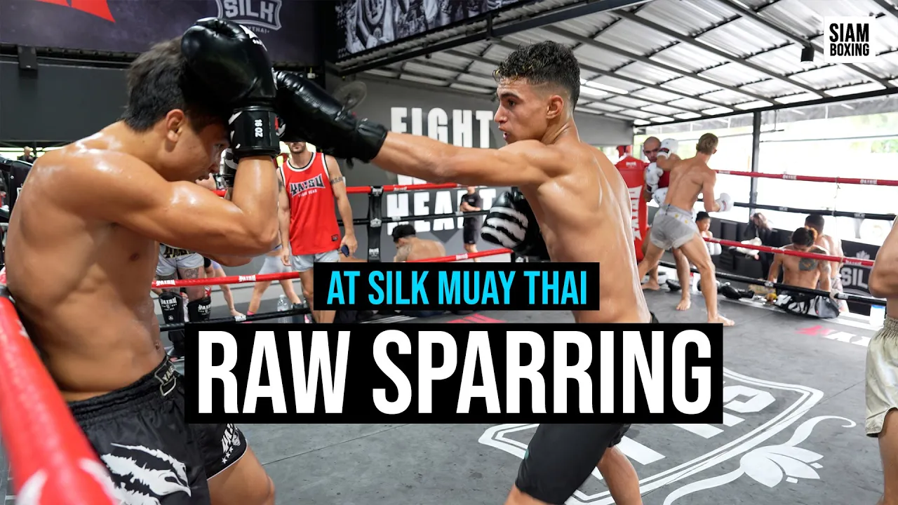 Raw Sparring at Silk Muay Thai - Thailand