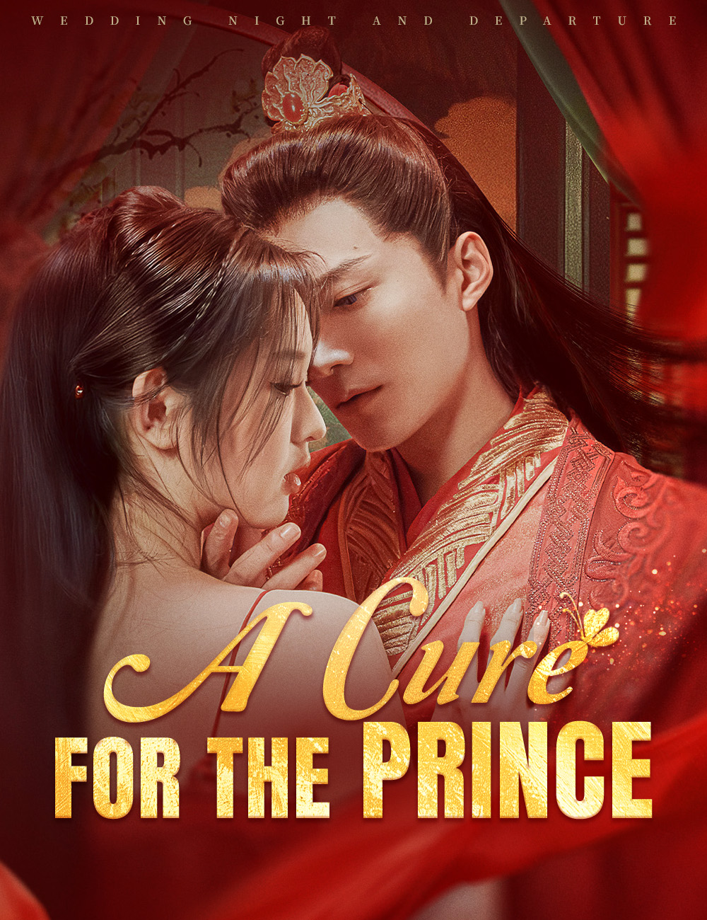 A Cure For The Prince poster