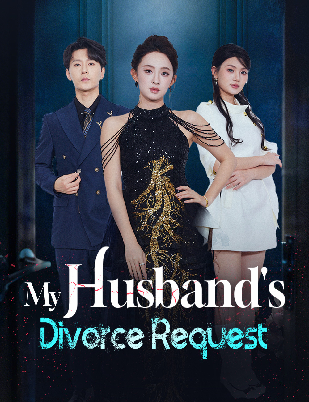 My Husband's Divorce Request poster