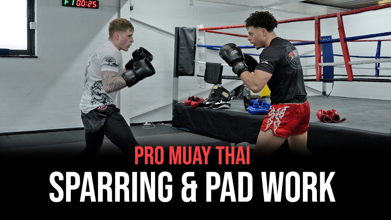 Pro Muay Thai Sparring & Pad Work - Suua Muay Thai