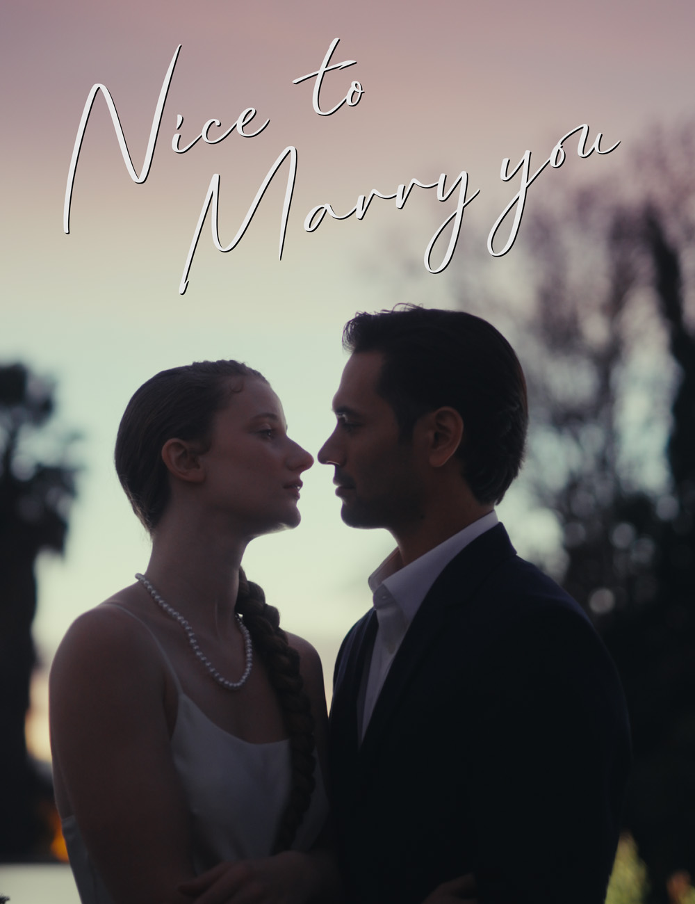 Nice to Marry You poster