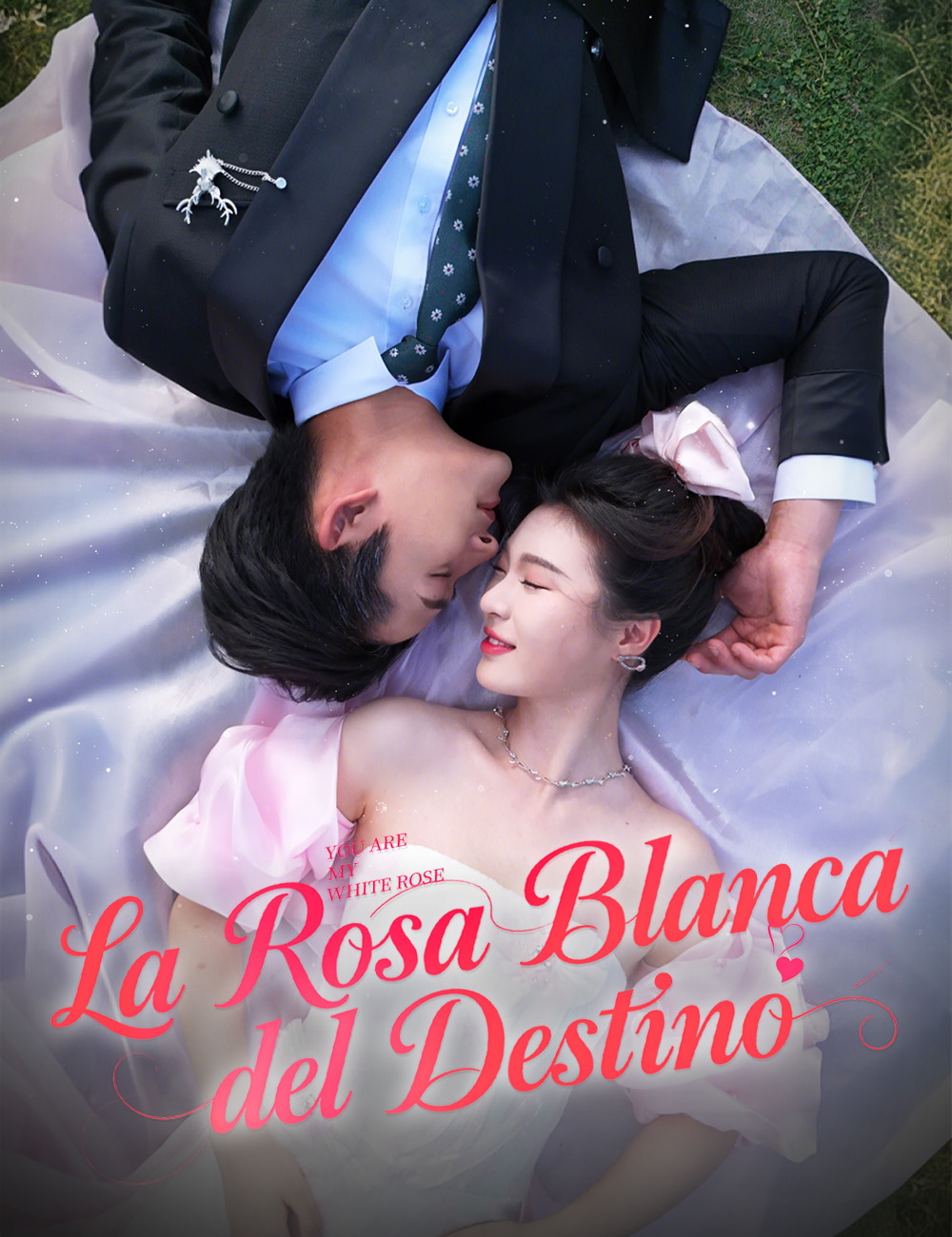 La Rosa Blanca del Destino poster
