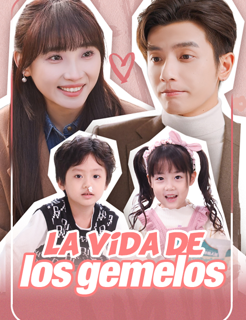 La vida de los gemelos poster