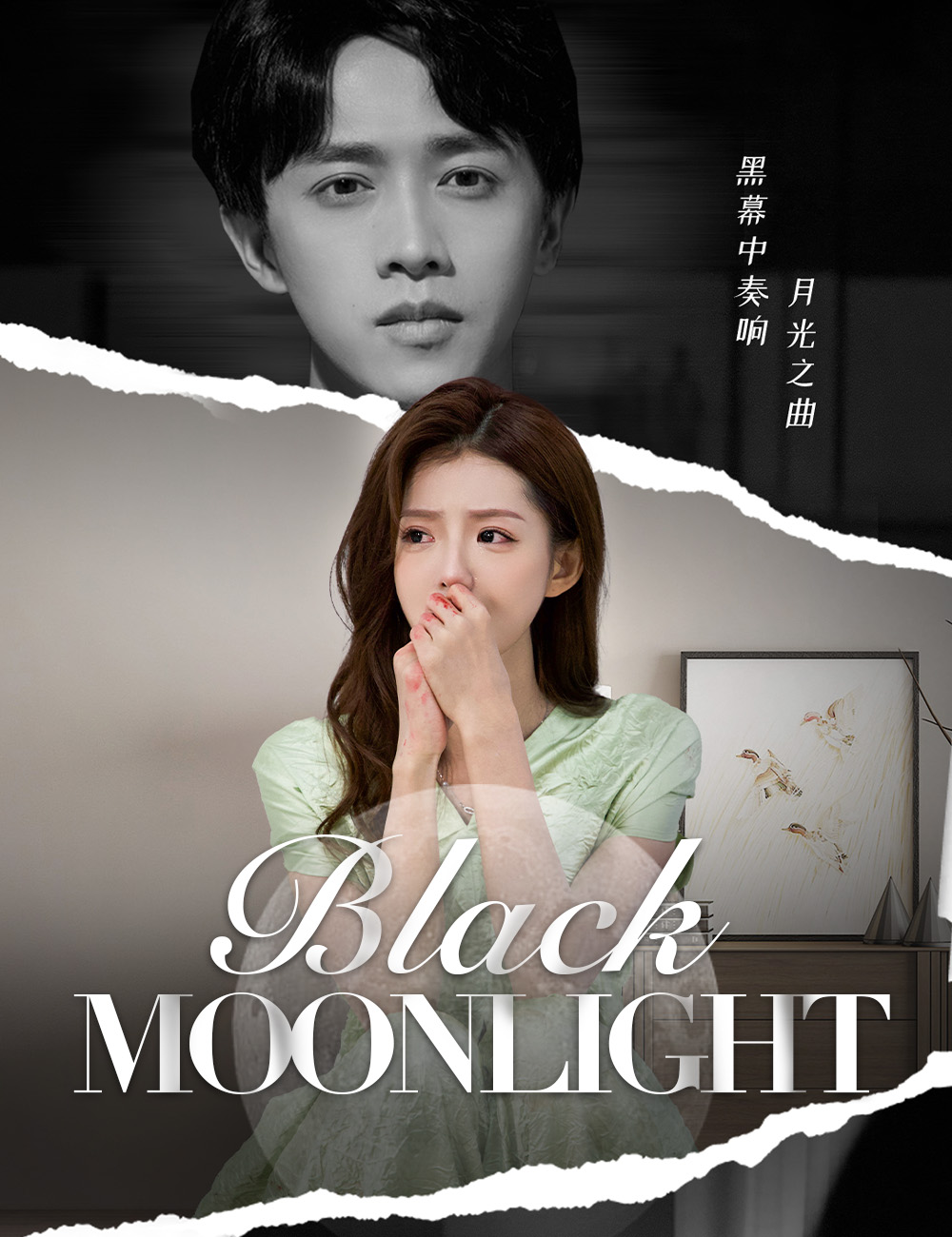 Black Moonlight poster