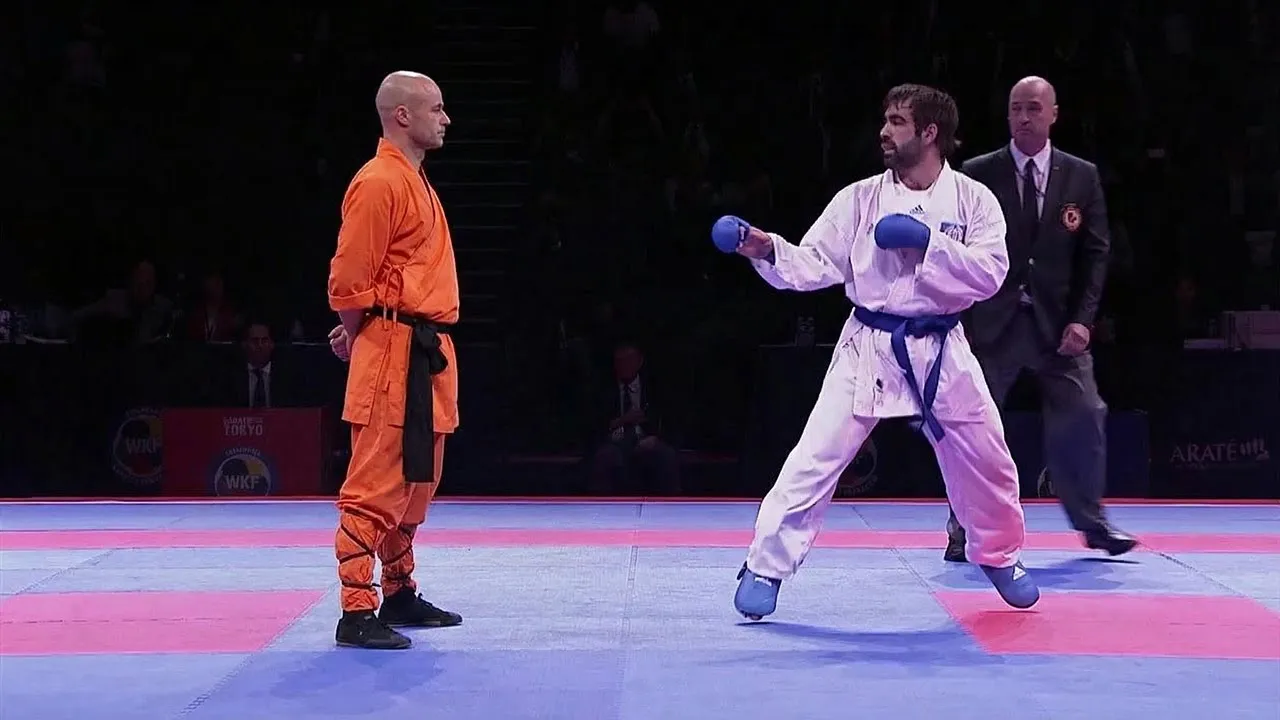 Karate vs Kung Fu — Reality Inside the Arena