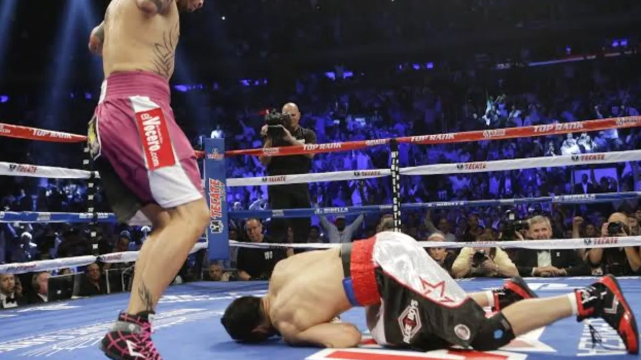 Miguel Cotto (Puerto Rico) vs Yoshihiro Kamegai (Japan) Boxing Fight Highlights - HD