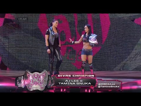 WWE RAW The Funkadactyls vs Aj Lee & Tamina 1/20/14