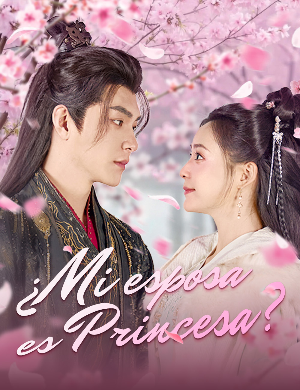 ¿Mi esposa es Princesa? poster