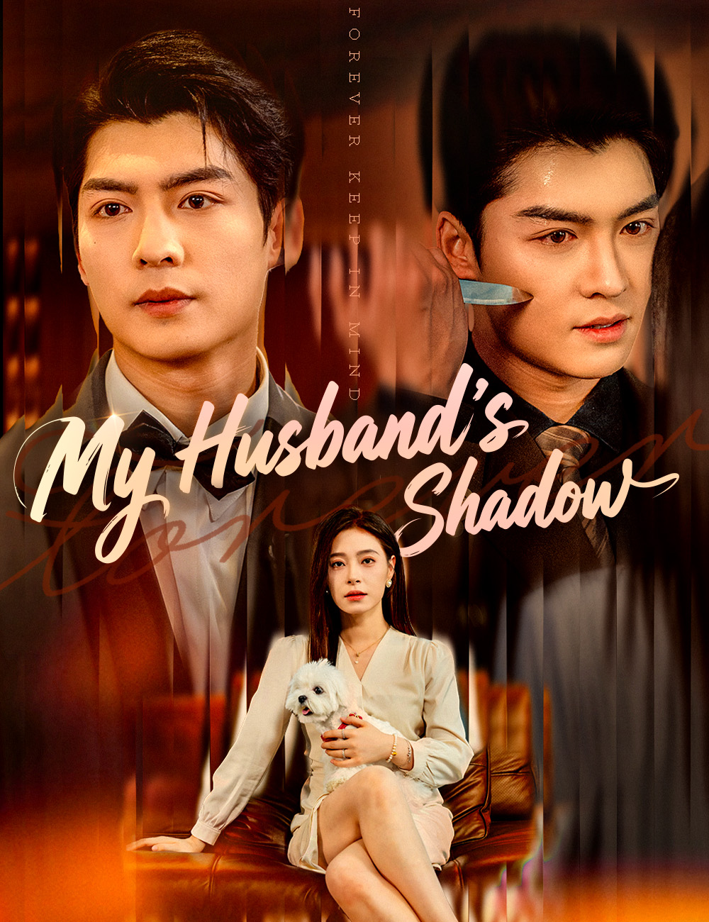 My Husband’s Shadow poster