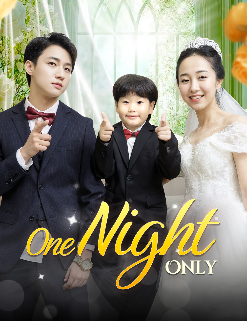 One Night Only poster